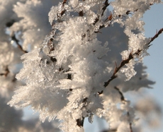 Winterimpressionen 065.jpg